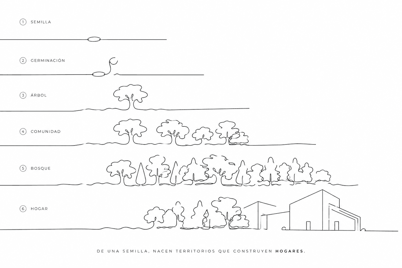 Seed-to-home line illustration